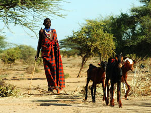 Pastoralists saw the signs of the 2005/6 food crisis Credits: Caritas Archive