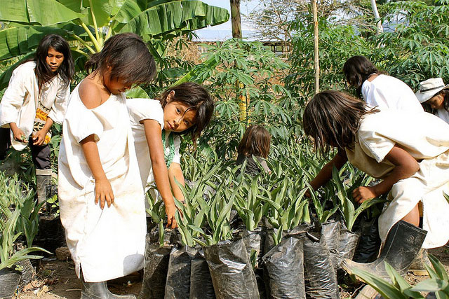 In Colombia, Caritas programmes help farmers feed their families. Photo: Laura Chacon/Caritas Colombiana