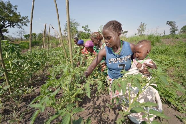 Once displaced by terrorist attacks by the Lord's Resistance Army, Alice Marchin--here with her 7-month old daughter Marci--and other farmers in Gangura, South Sudan, are once again farming their fields with help from Caritas, which has provided seeds, tools and technical support. Photo by Paul Jeffrey