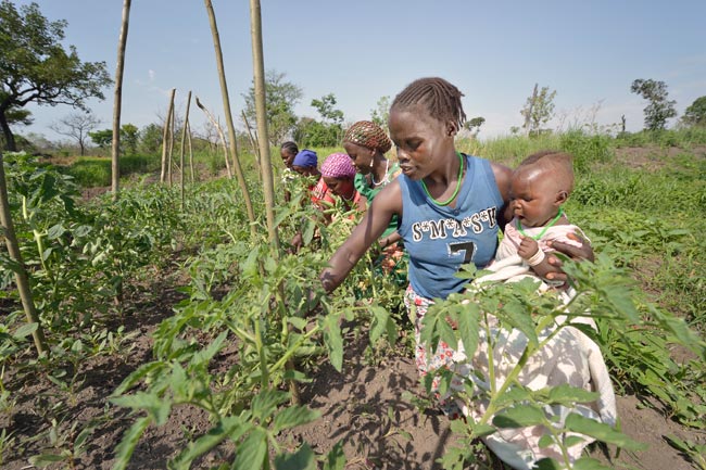 Once displaced by terrorist attacks by the Lord's Resistance Army, Alice Marchin--here with her 7-month old daughter Marci--and other farmers in Gangura, South Sudan, are once again farming their fields with help from Caritas, which has provided seeds, tools and technical support. Photo by Paul Jeffrey