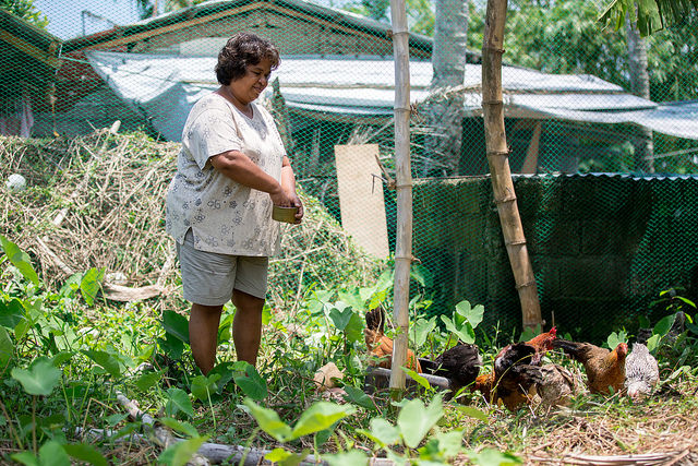 Anita Advincula, bénéficiaire du programme relatif aux moyens de subsistance, a acheté 16 poules et a fait un potager. Photo de Lukasz Cholewiak/Caritas