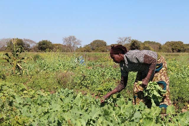 Women farmers face many challenges.
