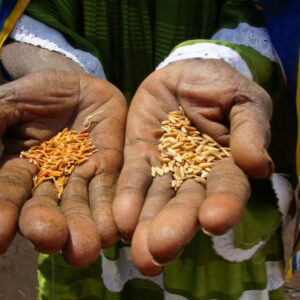Food security and integral human development