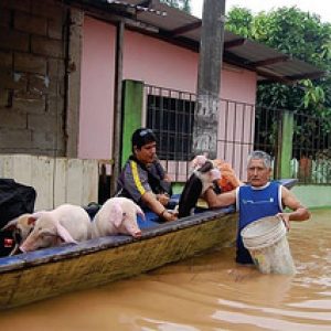 Caritas a la espera de la encíclica sobre ecología del Papa Francisco