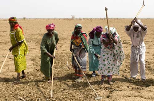 Réponse globale de Caritas sur Laudato Si