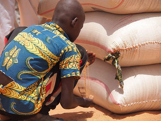 Hunger in Niger could double without action