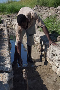 Quenching the rice fields’ thirst in Haiti