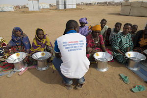 Les réfugiés Maliens protègent l’environnement au Burkina
