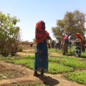 Chad’s women gardeners