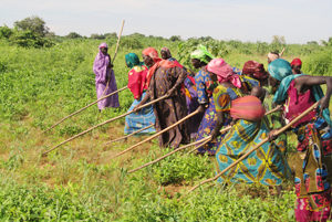 Le comité de femmes de Hadj al-Dérib, au Tchad