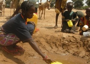 La sequía en África oriental: muere el ganado en Kenia