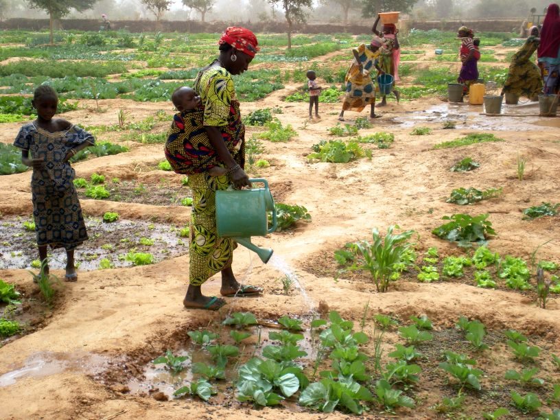 Helping Niger prepare for food crisis