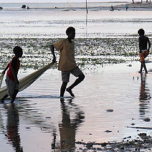 Paradise lost: rising seas threaten Pacific’s Carteret Islands