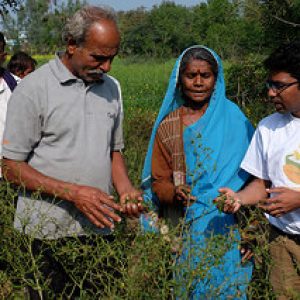 L’importance des Objectifs de développement durable