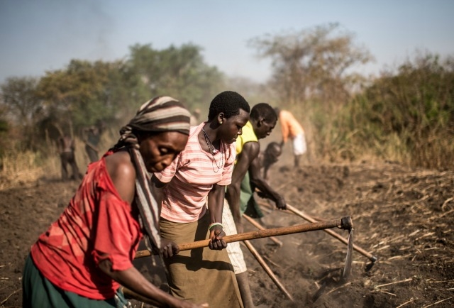 Caritas provides seeds and tools to refugees and locals in Uganda. Photo: Tommy Trenchard/Caritas