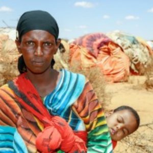 Hunger hits cattle herders in Somaliland