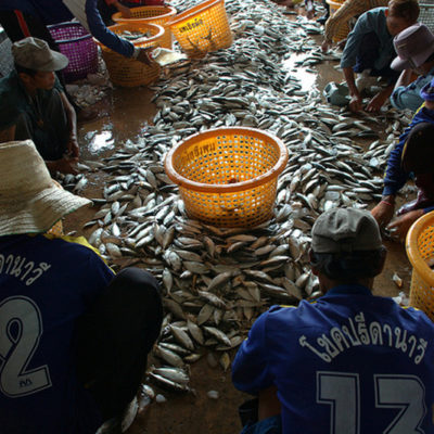 Le point sur l’industrie de la pêche en ce Jour de prière contre la traite.