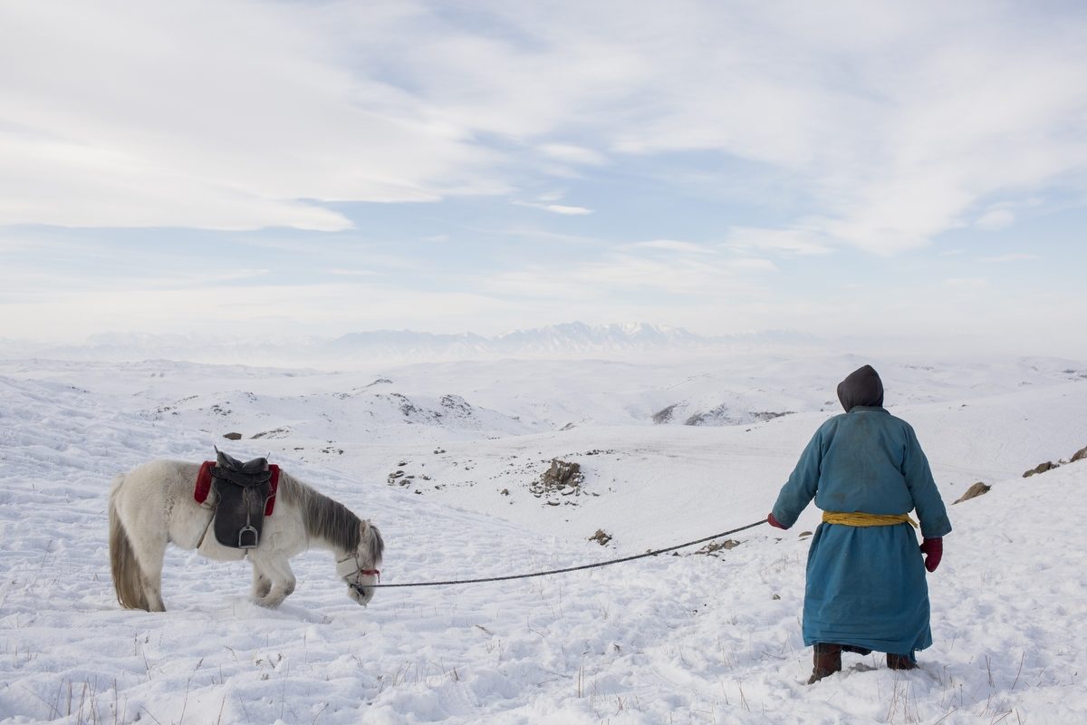 Le dzud en Mongolie