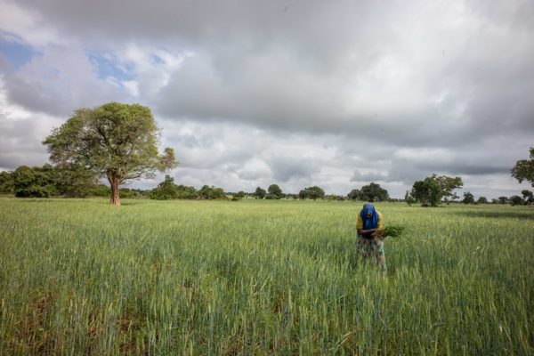 Vatican convenes ecological leadership summit