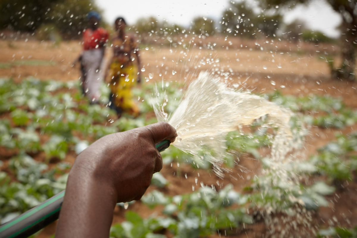 An irrigation project in Kitui, Kenya which is supported by Caritas agency Trócaire. 