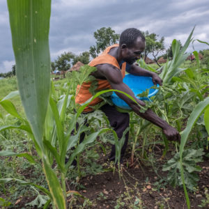 Caritas welcomes UN report on The State of Food Security and Nutrition in the World 2023