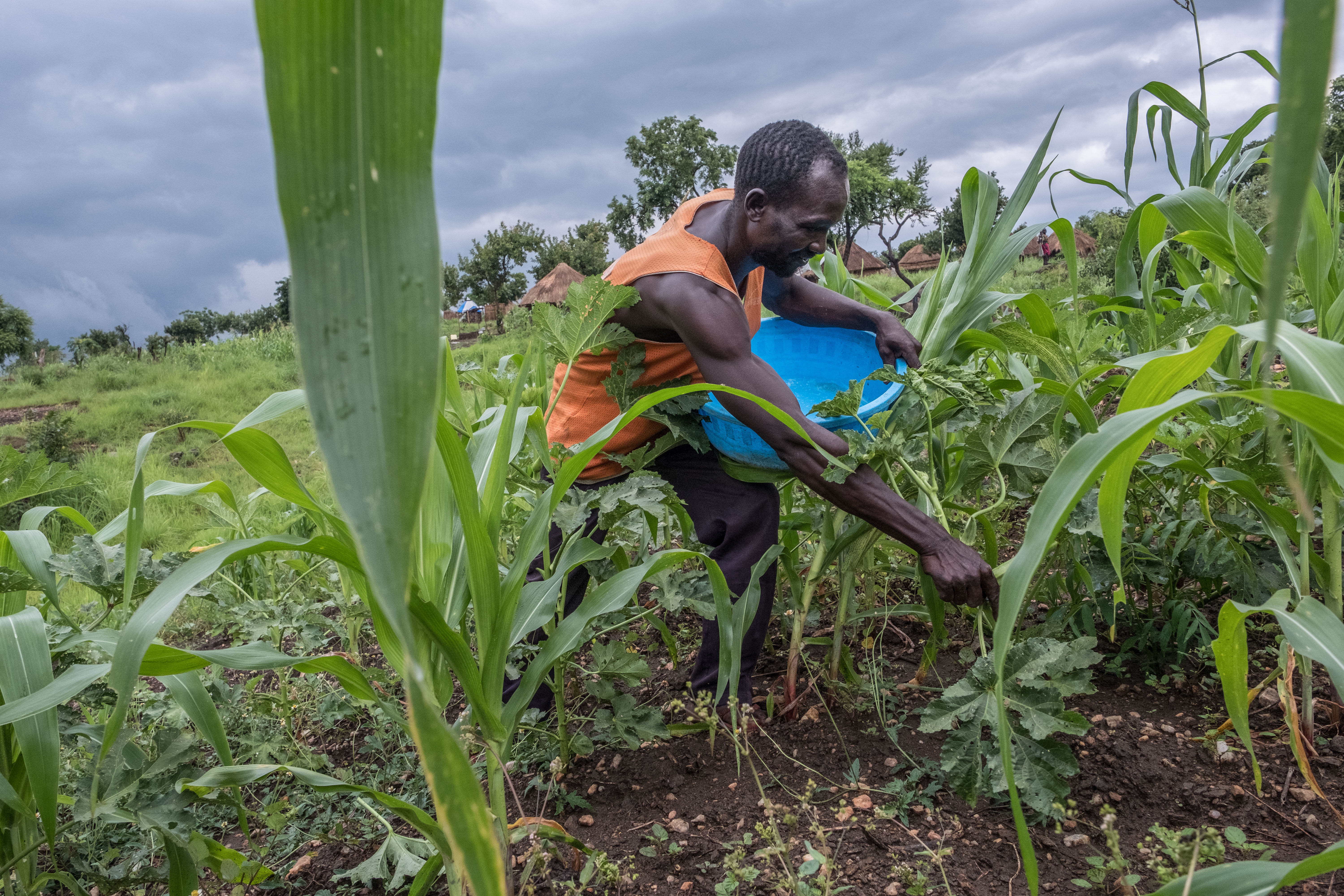 Caritas welcomes UN report on The State of Food Security and Nutrition in the World 2023