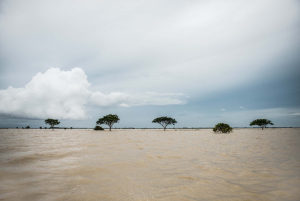 L’Église dans le monde entier appelle à une action climatique ambitieuse