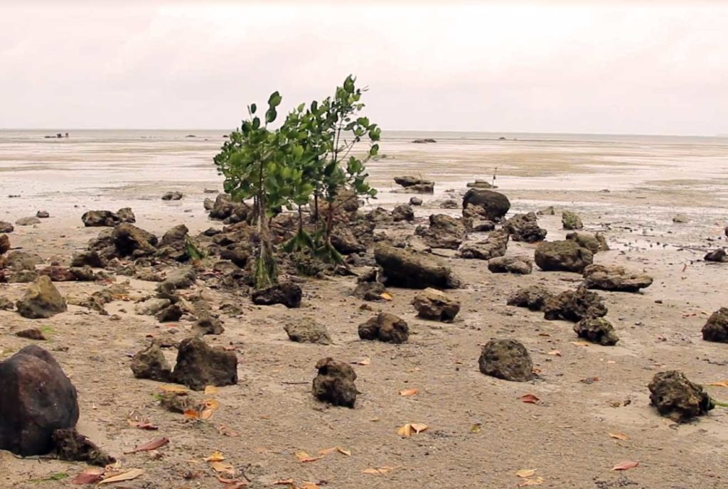 Climate change and mining exploitation in Fiji