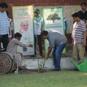 Fifth anniversary of Laudato Sì – Together we care for Mother Earth, our common home