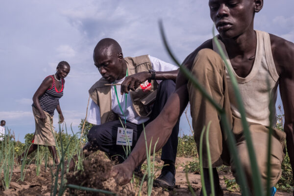 Caritas Internationalis: “La agricultura industrial no es el único camino hacia la justicia alimentaria”.