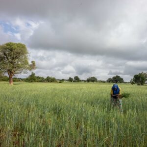 Put the dignity of the human person, not private interests, at the center of all food policies