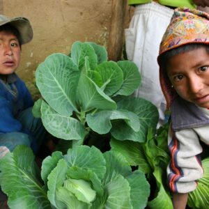 Día Mundial de la Alimentación: Caritas Internationalis exhorta a abordar la “injusticia alimentaria” apoyando la agricultura a pequeña escala