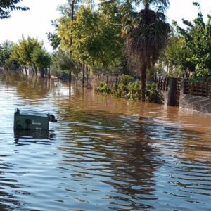 COPING WITH FLOODS IN GREECE: THE CRUCIAL ROLE OF CARITAS AID
